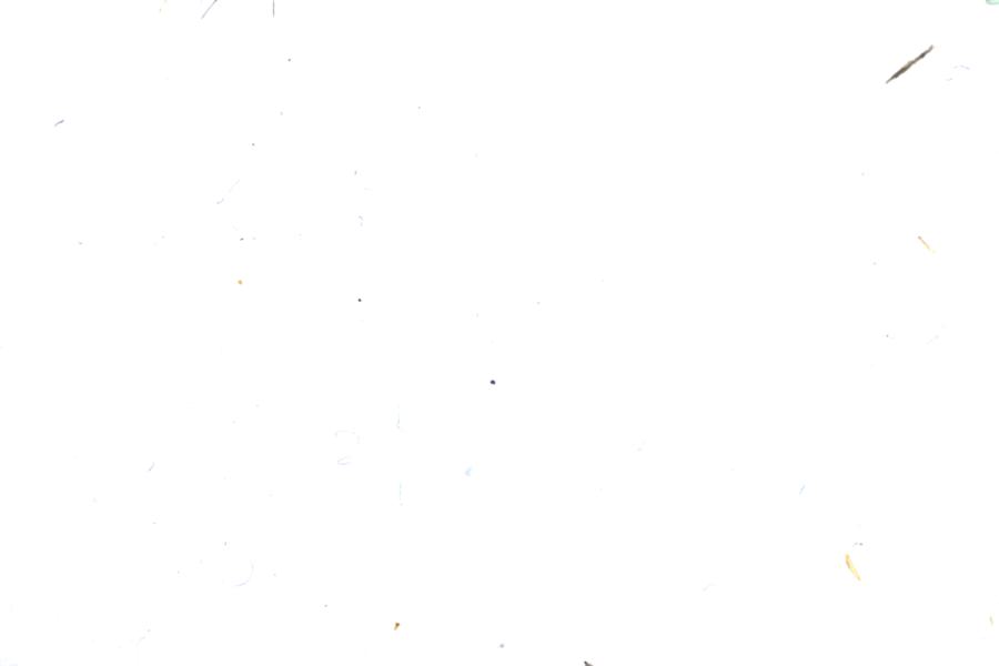 Image 16